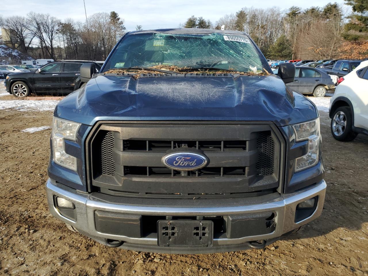 2016 Ford F-150 VIN 1FTEX1EP0GFD07592 Copart auction photo, side / top/roof damage thumbnail 5