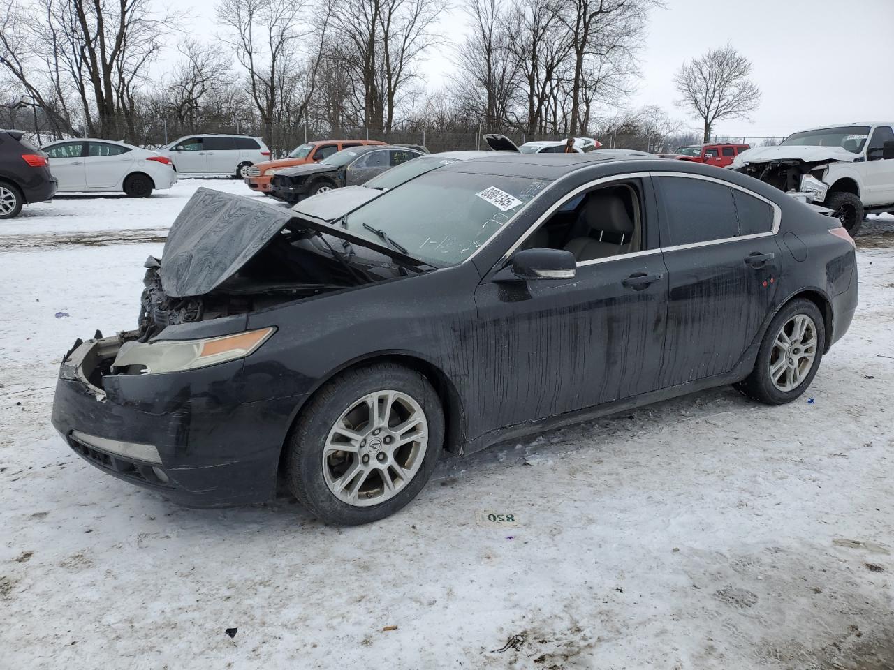 2010 Acura TL VIN 19UUA8F23AA017779