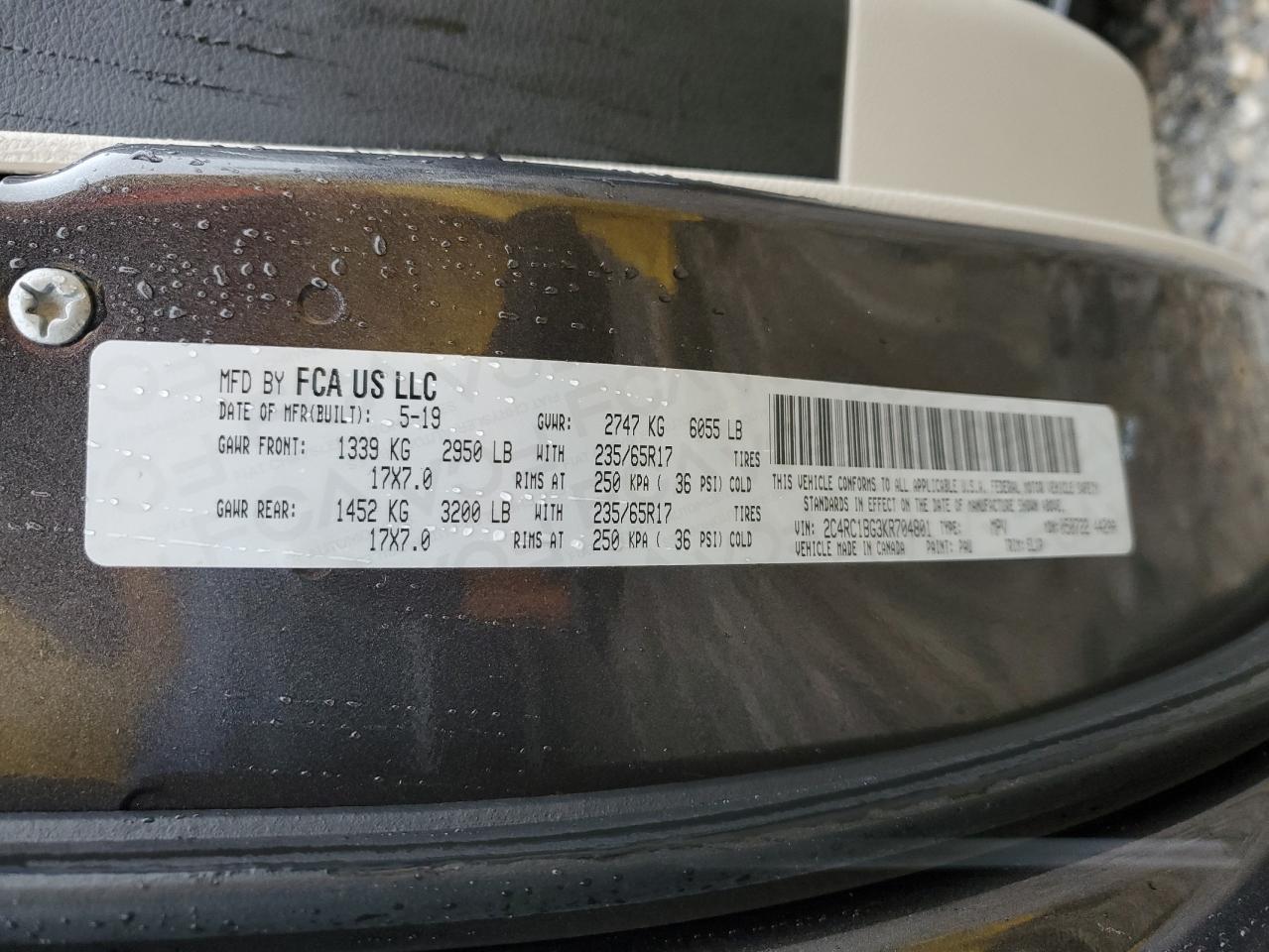 2019 Chrysler Pacifica VIN 2C4RC1BG3KR704801 Copart auction photo, side damage thumbnail 13