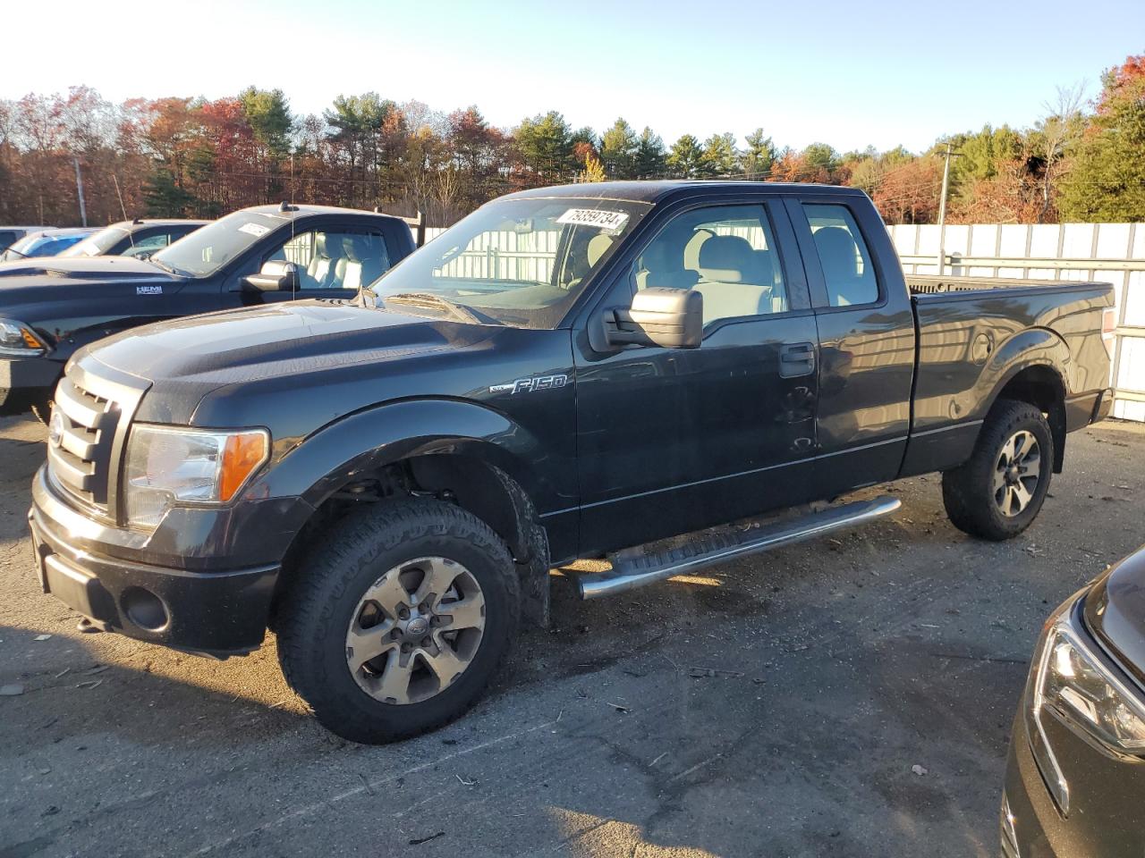 2011 Ford F-150 VIN 1FTFX1EF1BFA67697