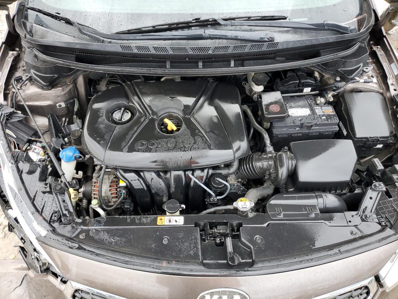 2014 KIA Forte VIN KNAFK4A6XE5064472 Copart auction photo, front end damage thumbnail 11