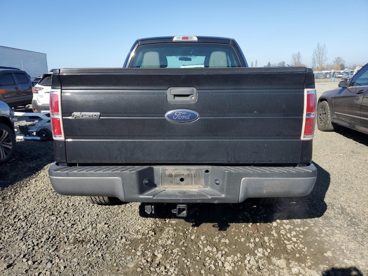 2010 Ford F-150 VIN 1FTEX1CW5AFA92163 Copart auction photo, side damage thumbnail 6