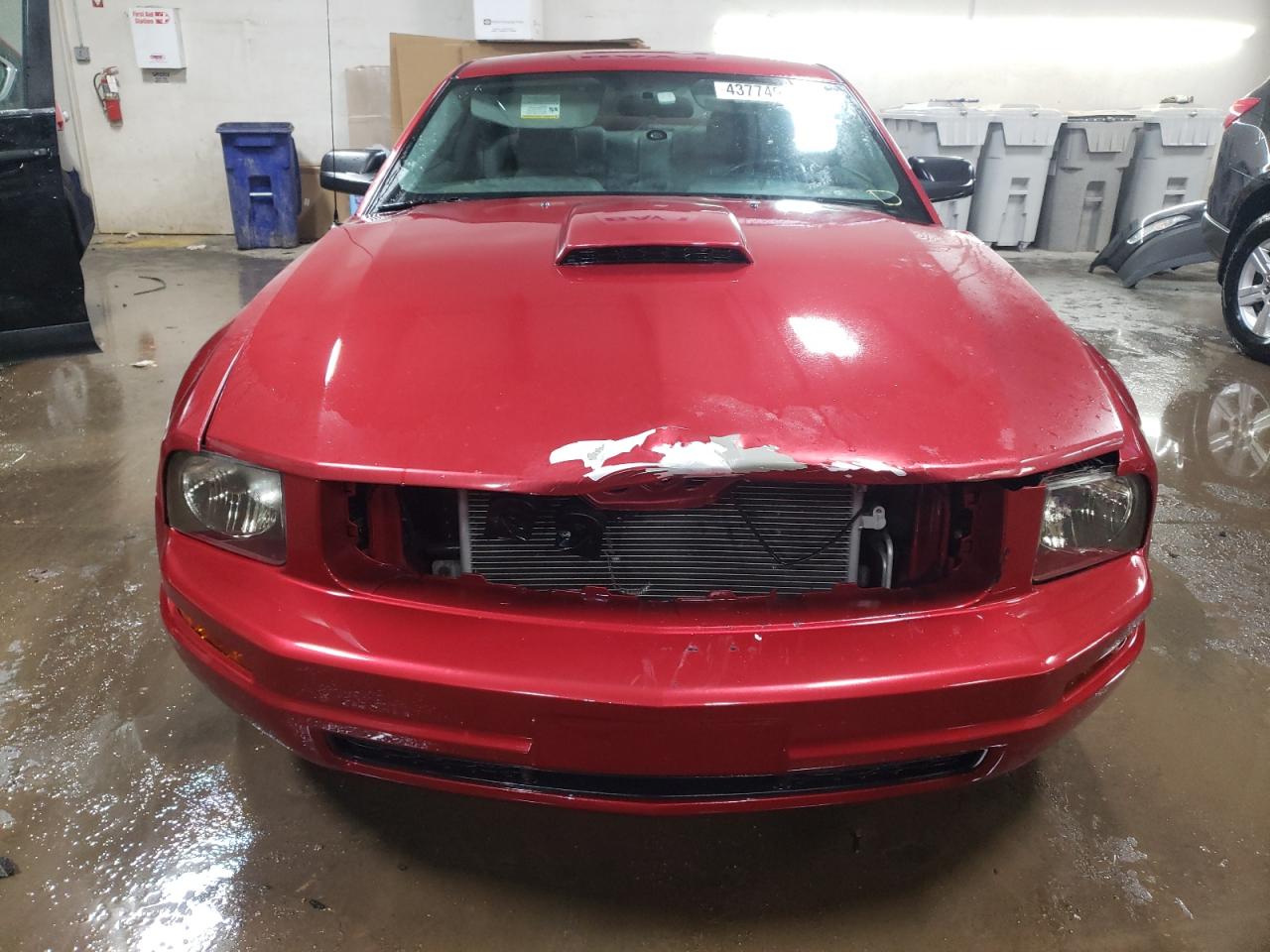 2005 Ford Mustang VIN 1ZVHT80N155230304 Copart auction photo, front end damage thumbnail 5
