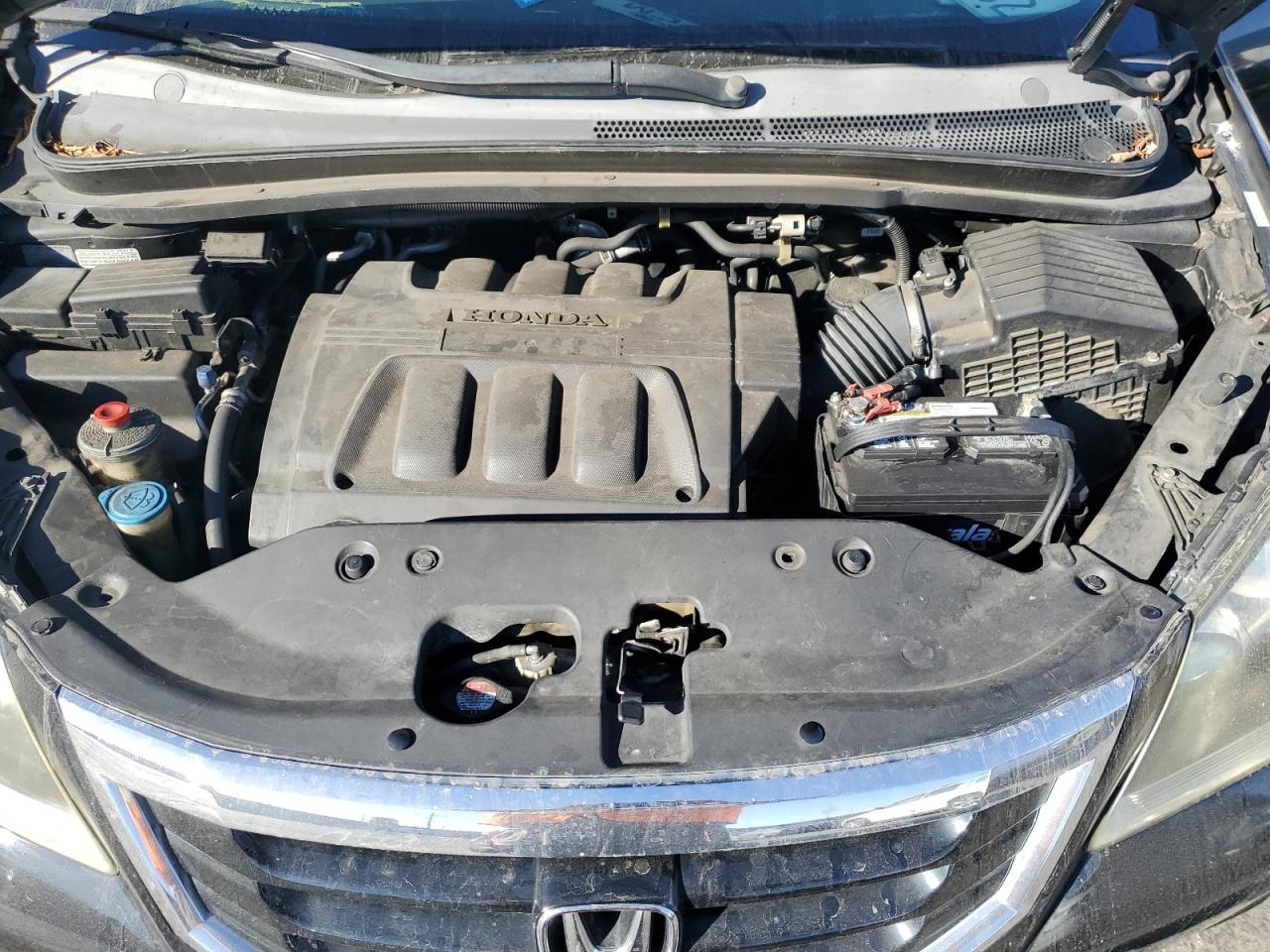 2009 Honda Odyssey VIN 5FNRL38689B020066 Copart auction photo, side / minor dent/scratches damage thumbnail 12