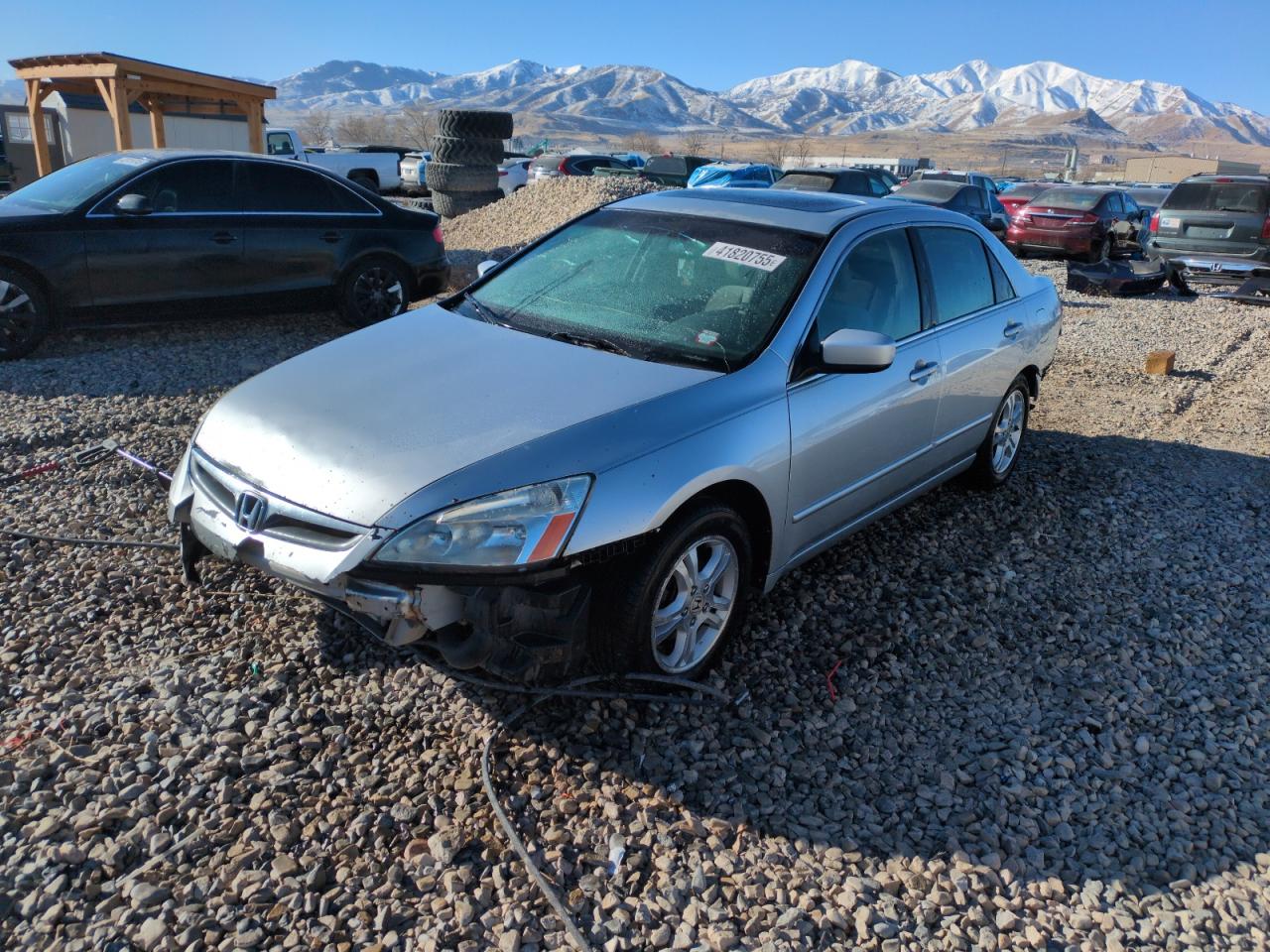 2007 Honda Accord VIN 1HGCM56737A176033