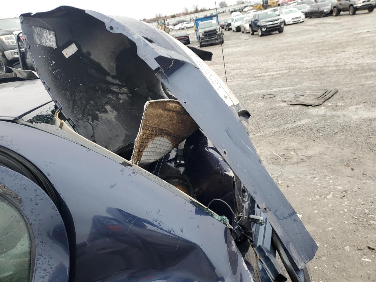 2008 Chevrolet Cobalt VIN 1G1AL58FX87151635 Copart auction photo, rear end damage thumbnail 13