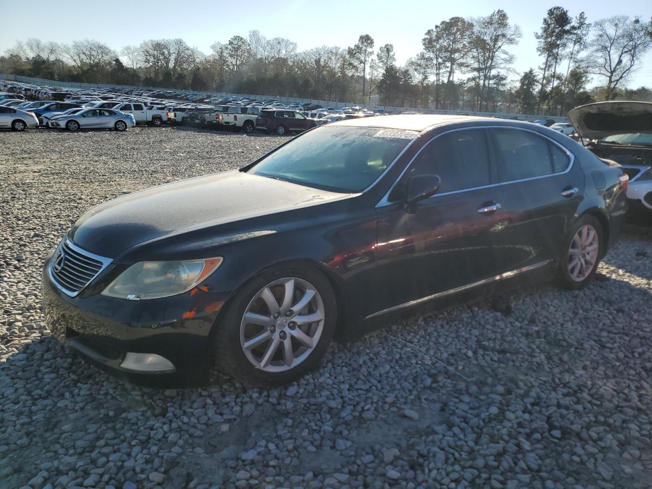 2009 Lexus LS VIN JTHCL46FX95000898