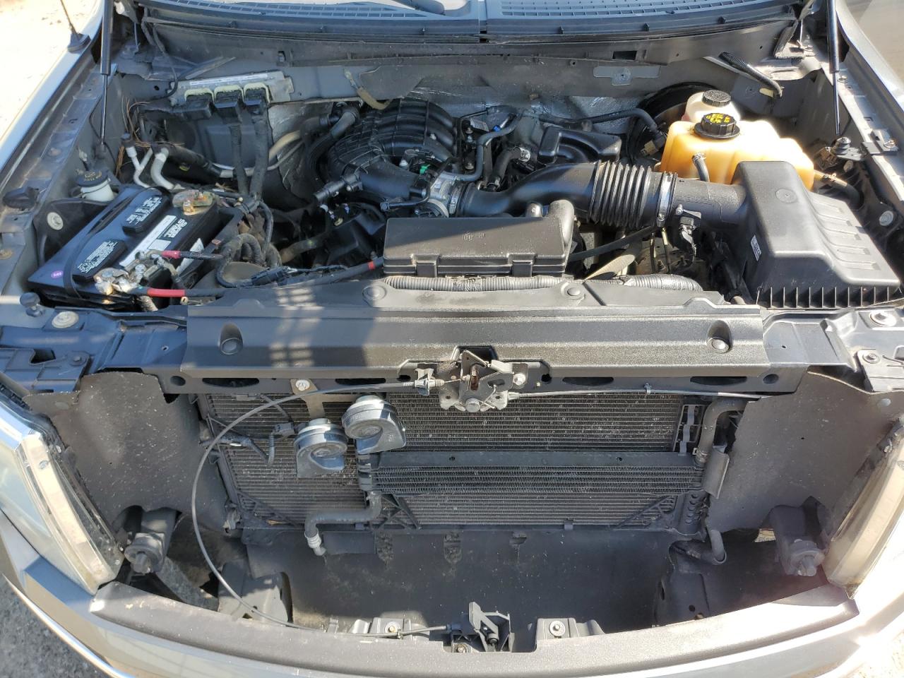 2012 Ford F-150 VIN 1FTEW1CM3CFA34721 Copart auction photo, all over / hail damage thumbnail 11