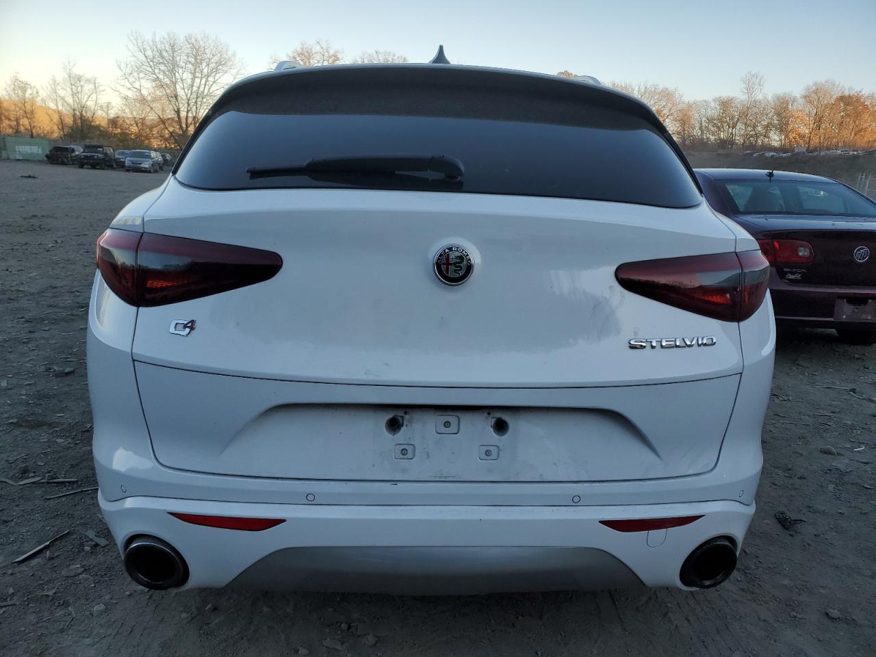 2020 Alfa Romeo Stelvio VIN ZASPAKBN7L7C76386 Copart auction photo, front end / minor dent/scratches damage thumbnail 6