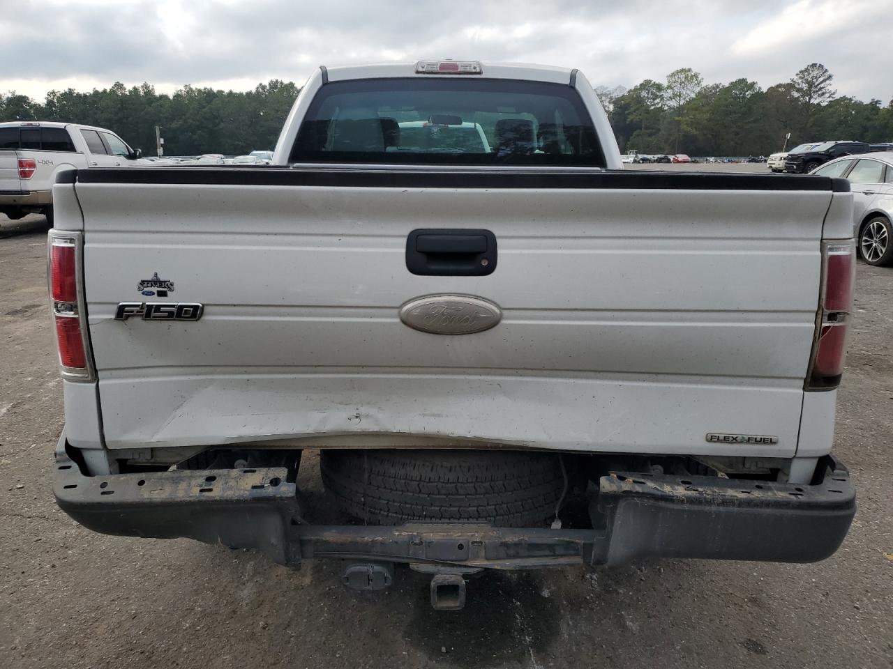 2012 Ford F-150 VIN 1FTEX1CM0CFB27130 Copart auction photo, rear end damage thumbnail 6