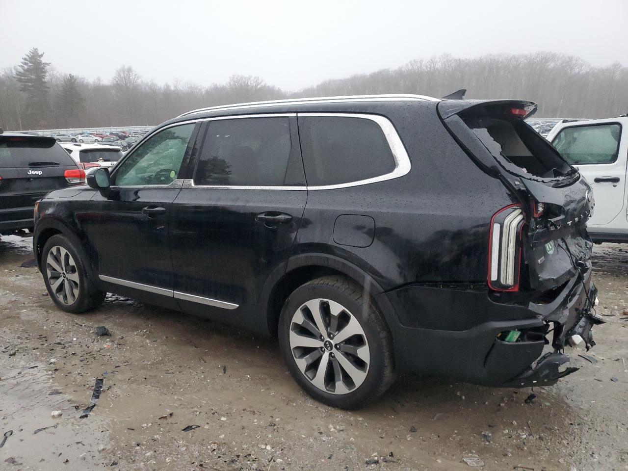 2020 KIA Telluride VIN 5XYP3DHC0LG080605 Copart auction photo, rear end damage thumbnail 2