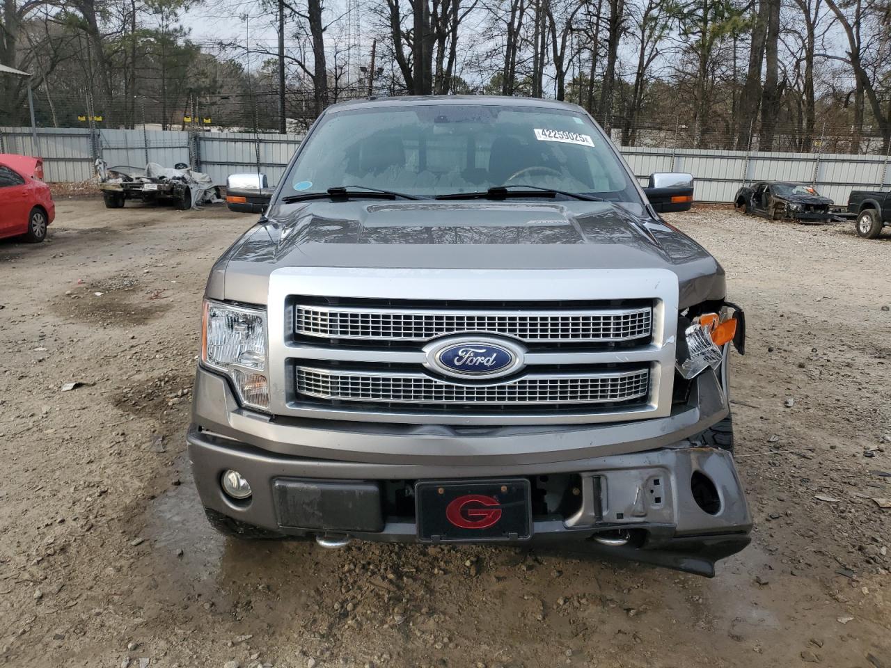 2010 Ford F-150 VIN 1FTFW1EV8AFA22412 Copart auction photo, front end / rear end damage thumbnail 5