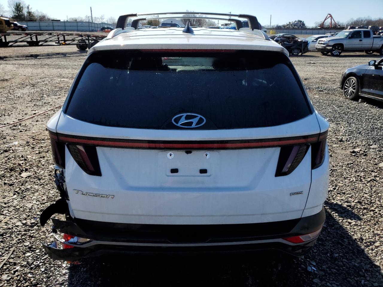 2023 Hyundai Tucson VIN 5NMJBCAE8PH236125 Copart auction photo, side / rear end damage thumbnail 6