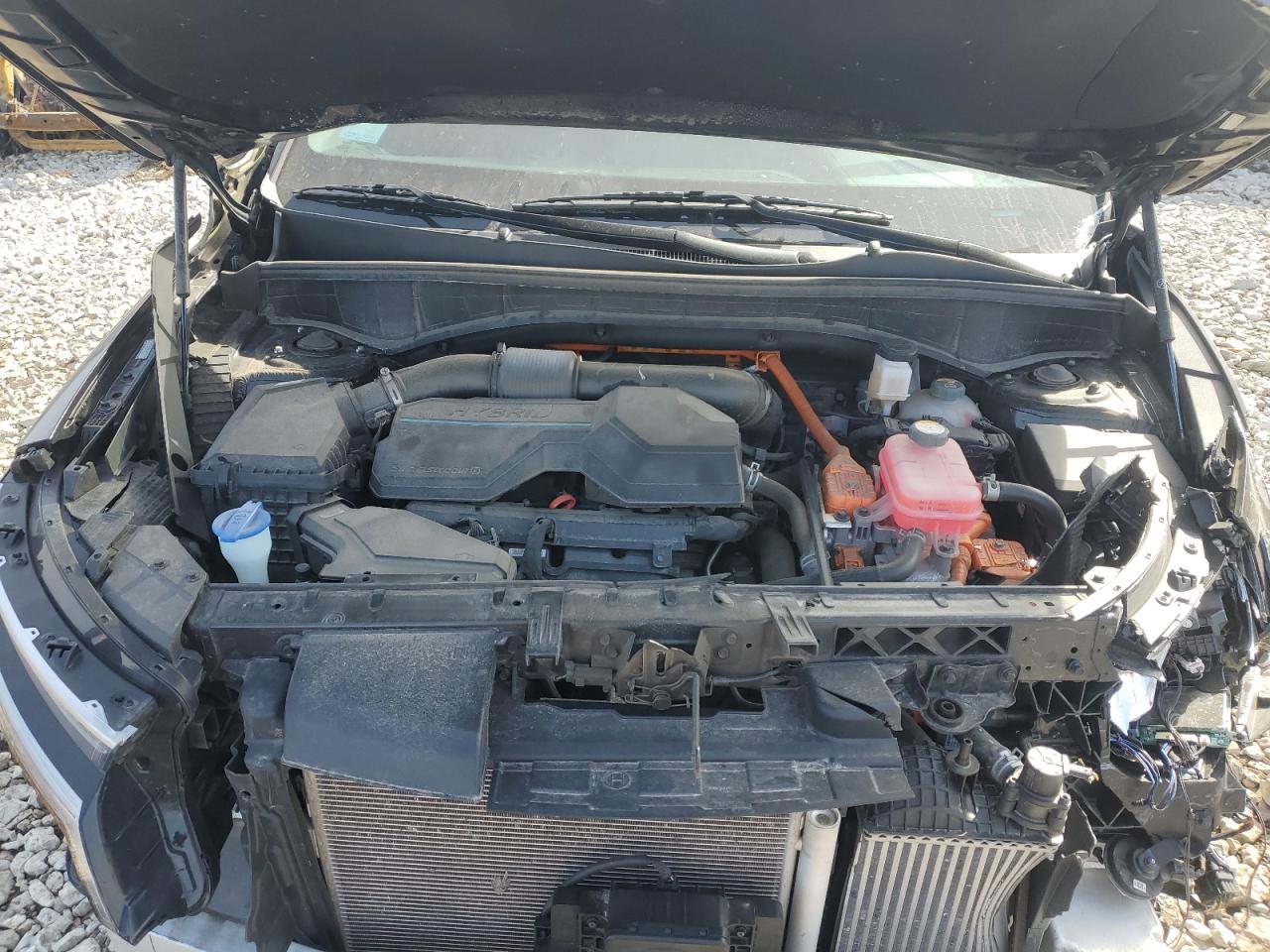2021 KIA Sorento VIN KNDRH4LG2M5033557 Copart auction photo, front end / side damage thumbnail 14