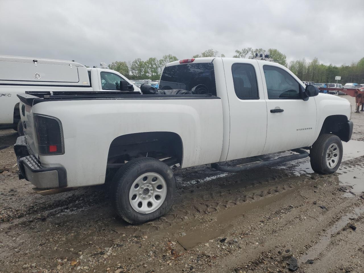 2011 Chevrolet Silverado VIN 1GCRCPE0XBZ371827 Copart auction photo, rear end / minor dent/scratches damage thumbnail 3