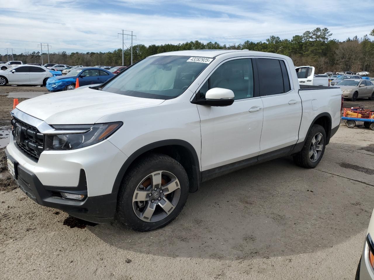 2024 Honda Ridgeline VIN 5FPYK3F50RB016125