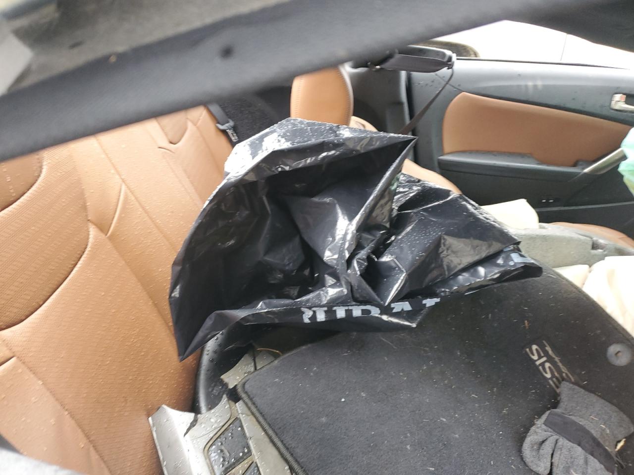 2016 Hyundai Genesis VIN KMHHU6KJ3GU134743 Copart auction photo, all over damage thumbnail 10