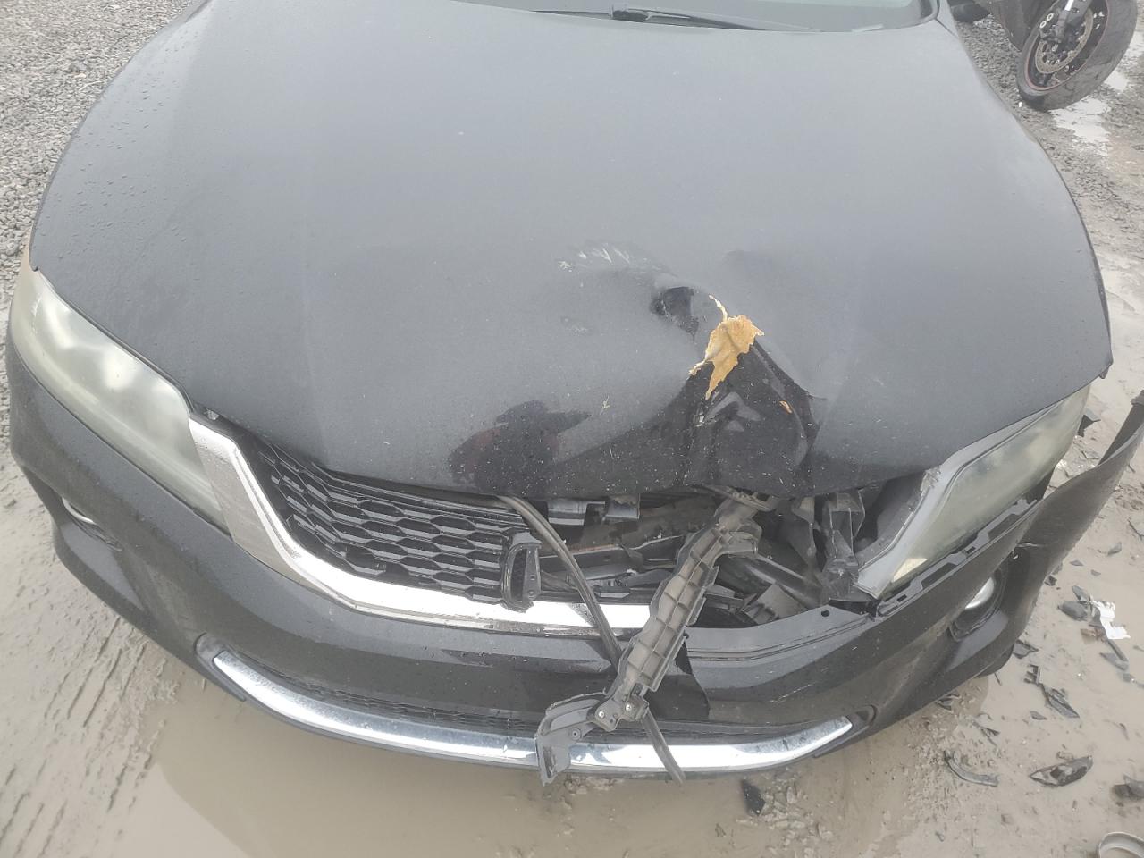 2013 Honda Accord VIN 1HGCT1B84DA003420 Copart auction photo, front end / minor dent/scratches damage thumbnail 11