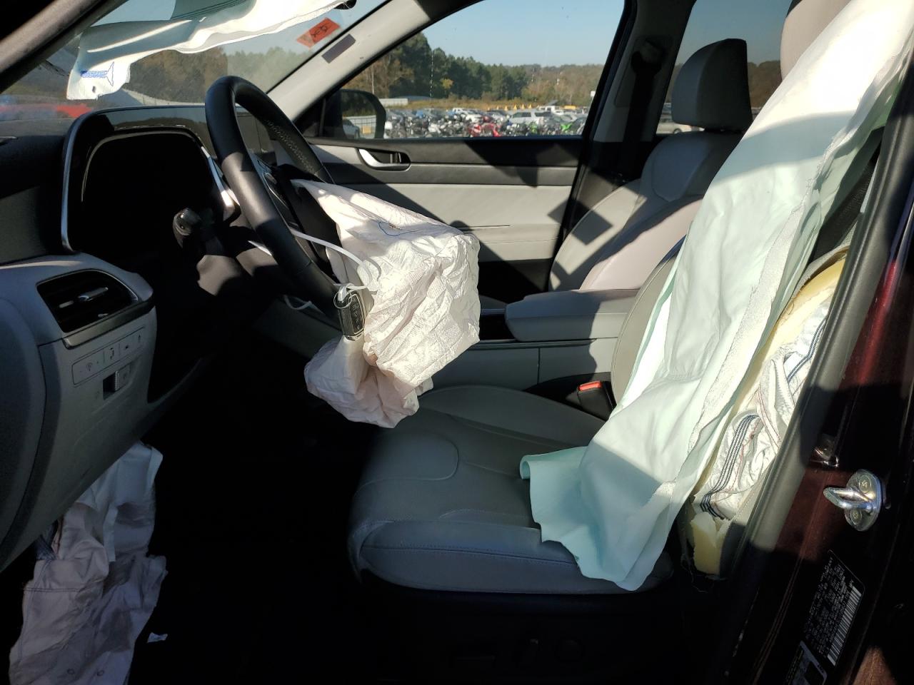 2020 Hyundai Palisade VIN KM8R44HE5LU105631 Copart auction photo, all over damage thumbnail 7