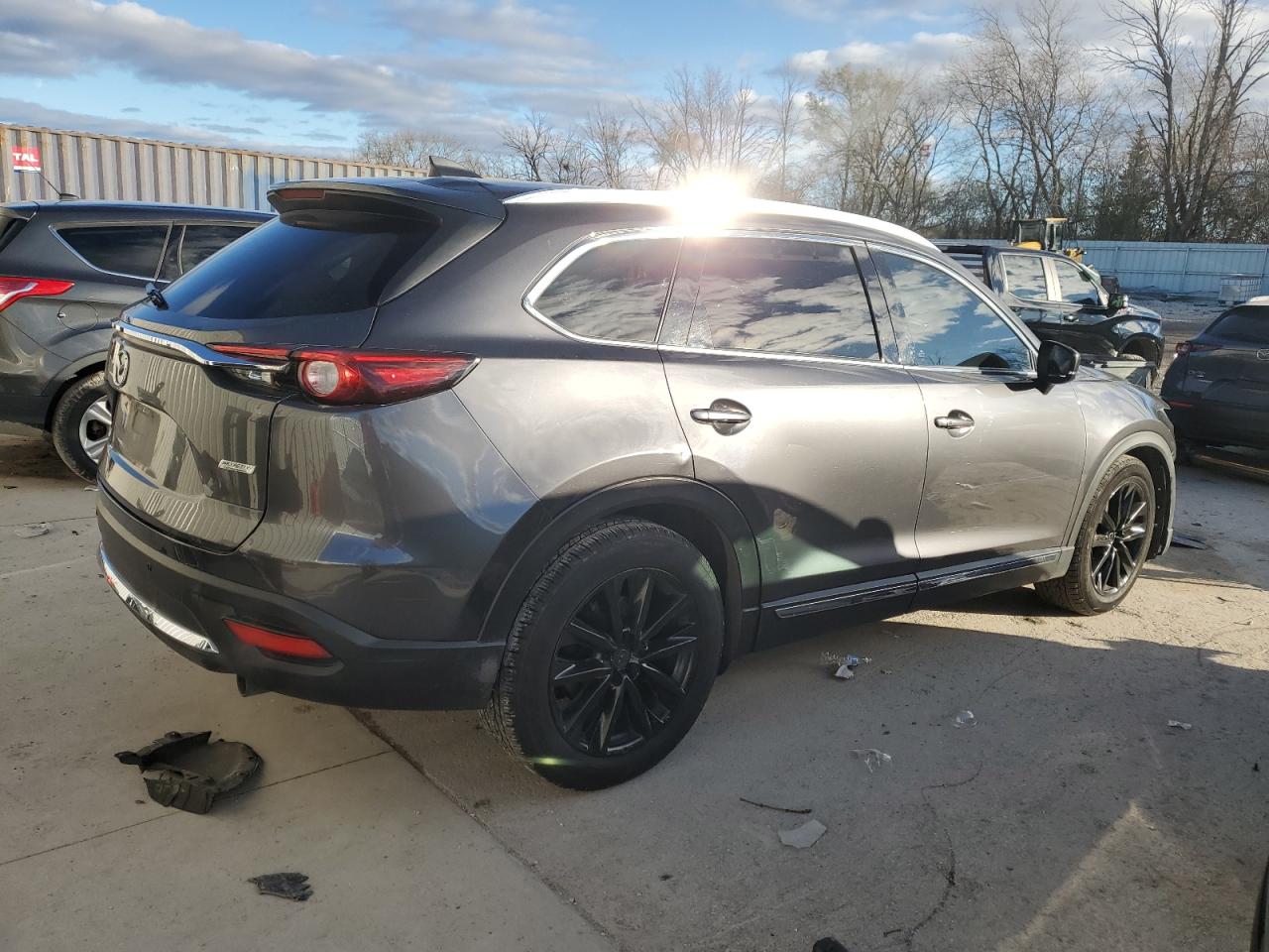 2016 Mazda CX-9 VIN JM3TCBEY8G0103568 Copart auction photo, front end damage thumbnail 3