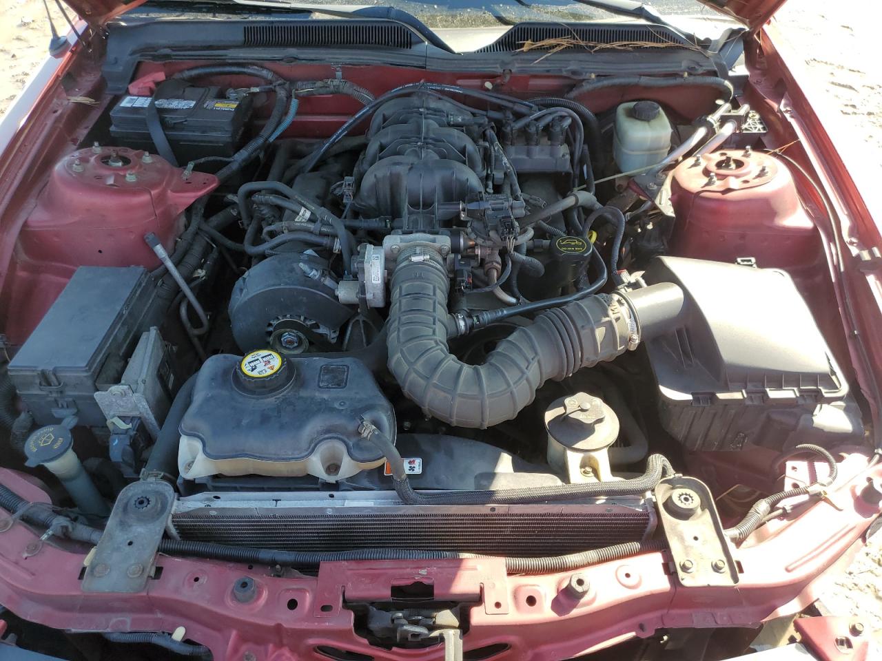 2005 Ford Mustang VIN 1ZVFT84NX55193271 Copart auction photo, front end / minor dent/scratches damage thumbnail 11