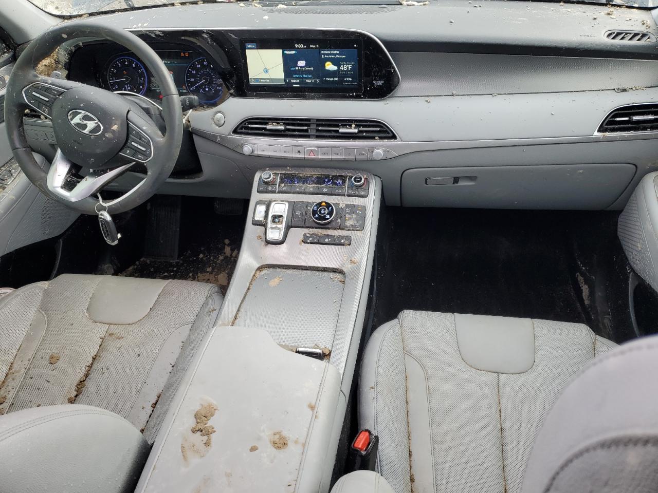 2020 Hyundai Palisade VIN KM8R4DHE5LU064790 Copart auction photo, rollover / minor dent/scratches damage thumbnail 8