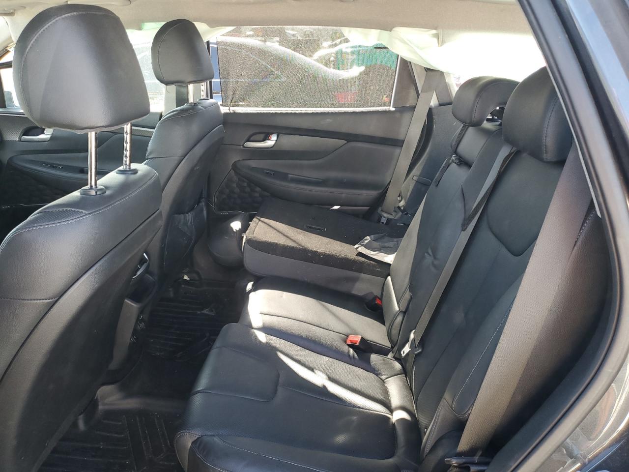 2020 Hyundai Santa Fe VIN 5NMS3CAA9LH219214 Copart auction photo, side damage thumbnail 10