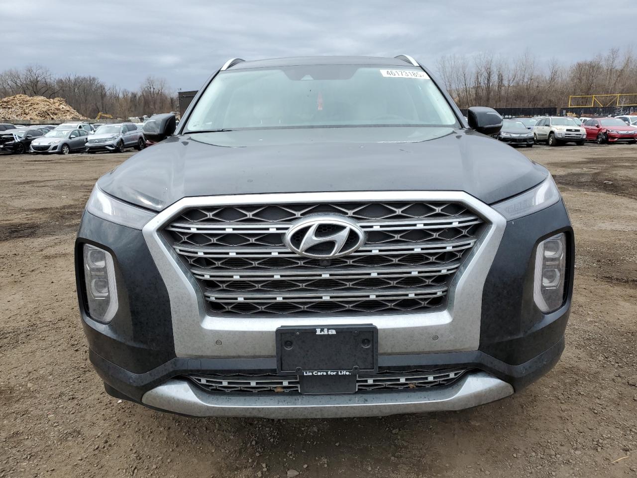 2020 Hyundai Palisade VIN KM8R5DHE4LU100532 Copart auction photo, rear end / minor dent/scratches damage thumbnail 5