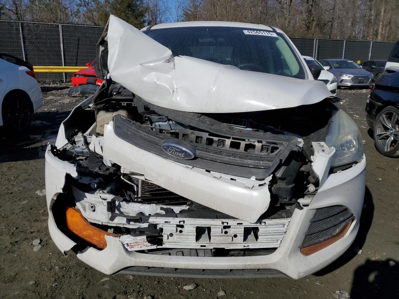 2014 Ford Escape VIN 1FMCU0F71EUE55585 Copart auction photo, front end / mechanical damage thumbnail 5