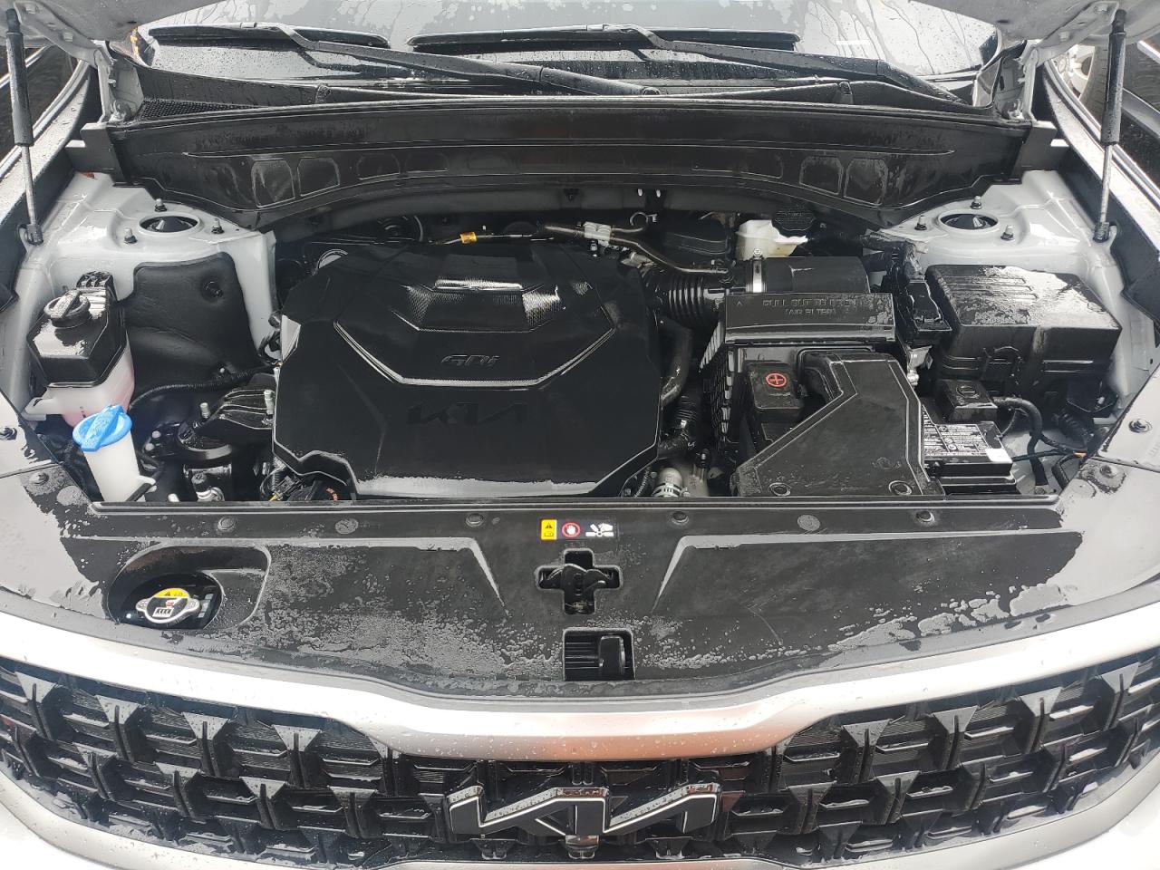 2023 KIA Telluride VIN 5XYP5DGC8PG390812 Copart auction photo, water/flood damage thumbnail 12