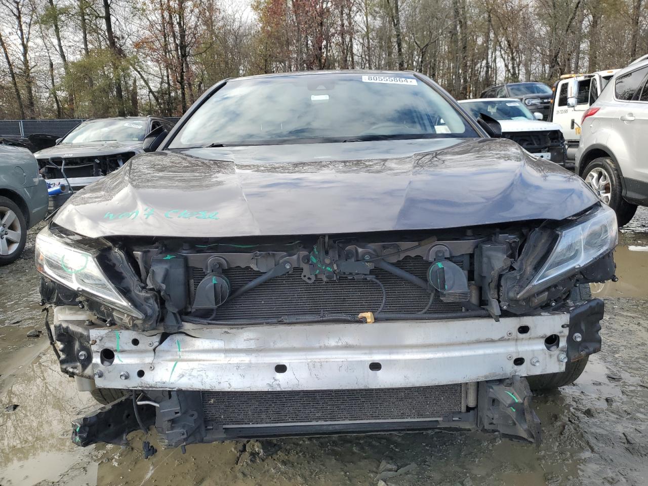 2019 Toyota Camry VIN 4T1B11HK4KU698332 Copart auction photo, front end / rear end damage thumbnail 5
