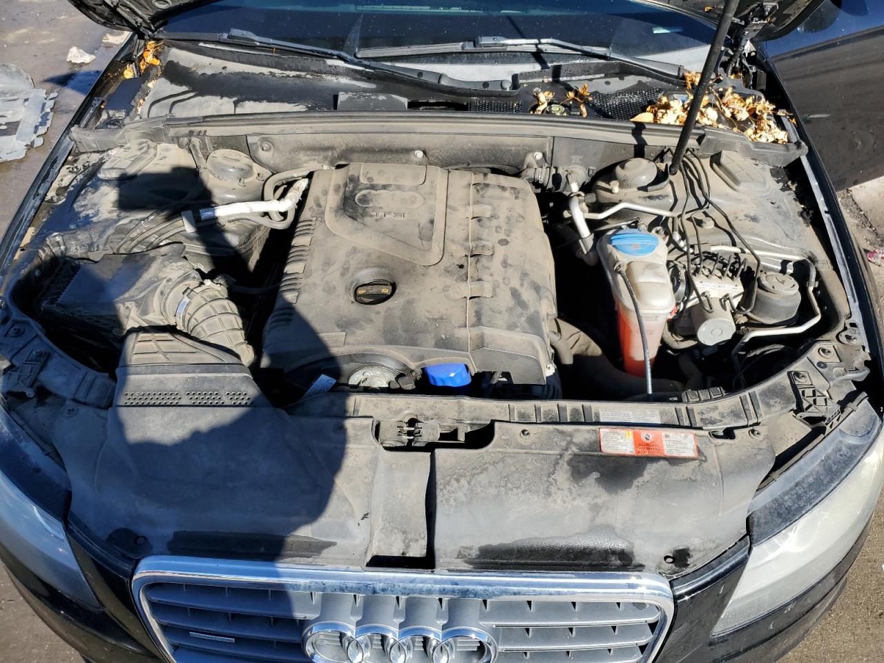 2009 Audi A4 VIN WAULF78K89N025932 Copart auction photo, side damage thumbnail 11