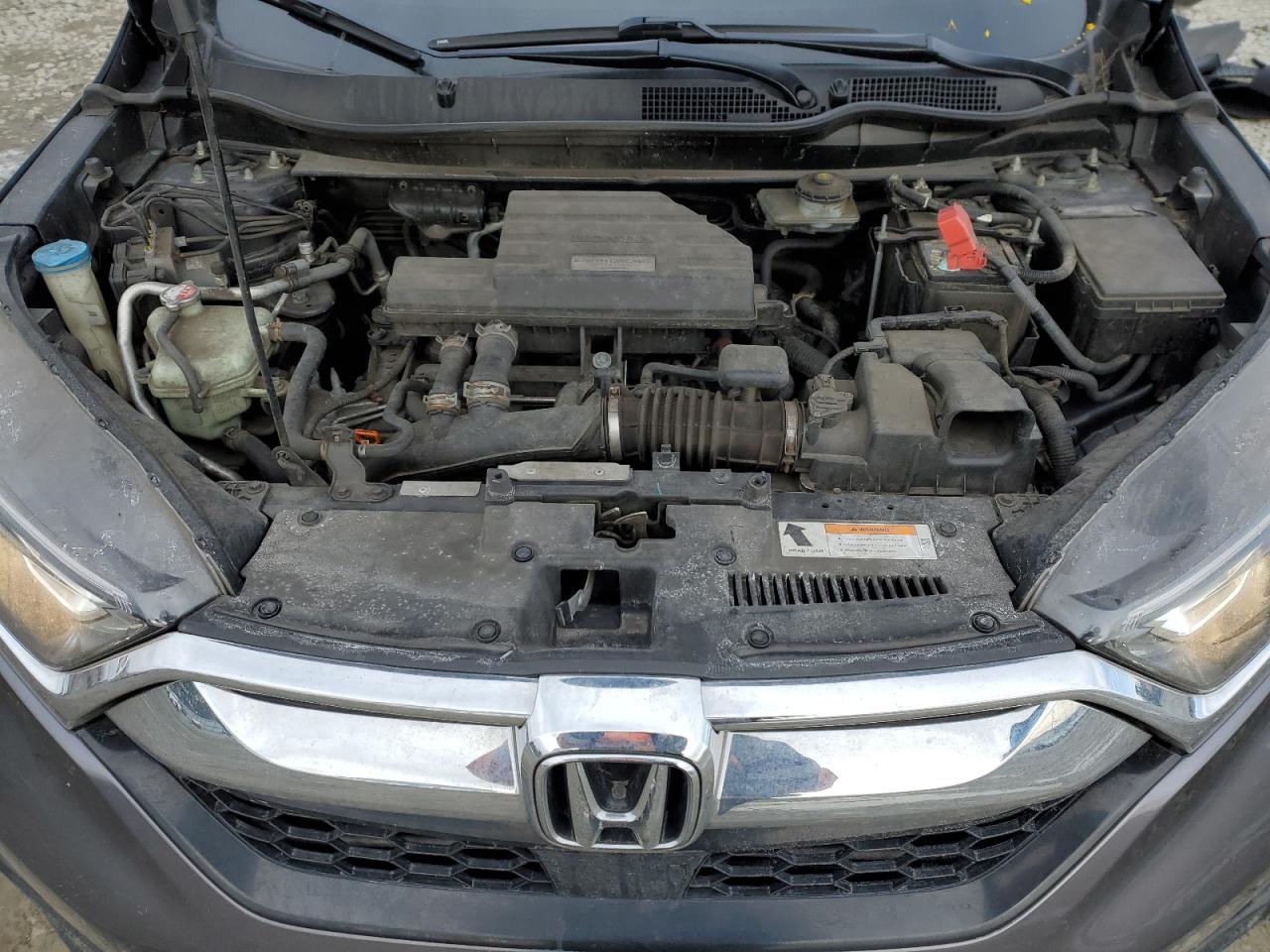 2019 Honda CR-V VIN JHLRW2H86KX015420 Copart auction photo, rear end damage thumbnail 12