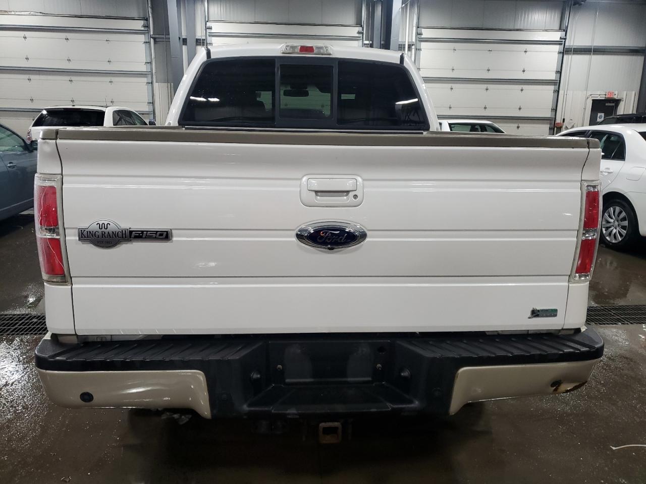 2010 Ford F-150 VIN 1FTFW1EV0AKC55515 Copart auction photo, front end damage thumbnail 6