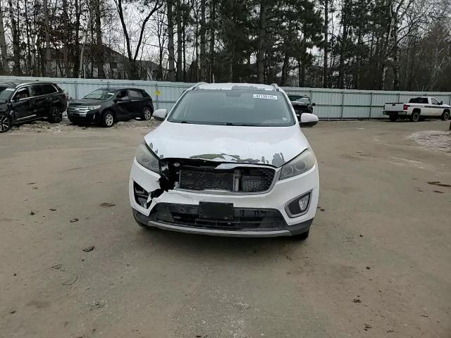 2016 KIA Sorento VIN 5XYPH4A12GG030448 Copart auction photo, front end damage thumbnail 11