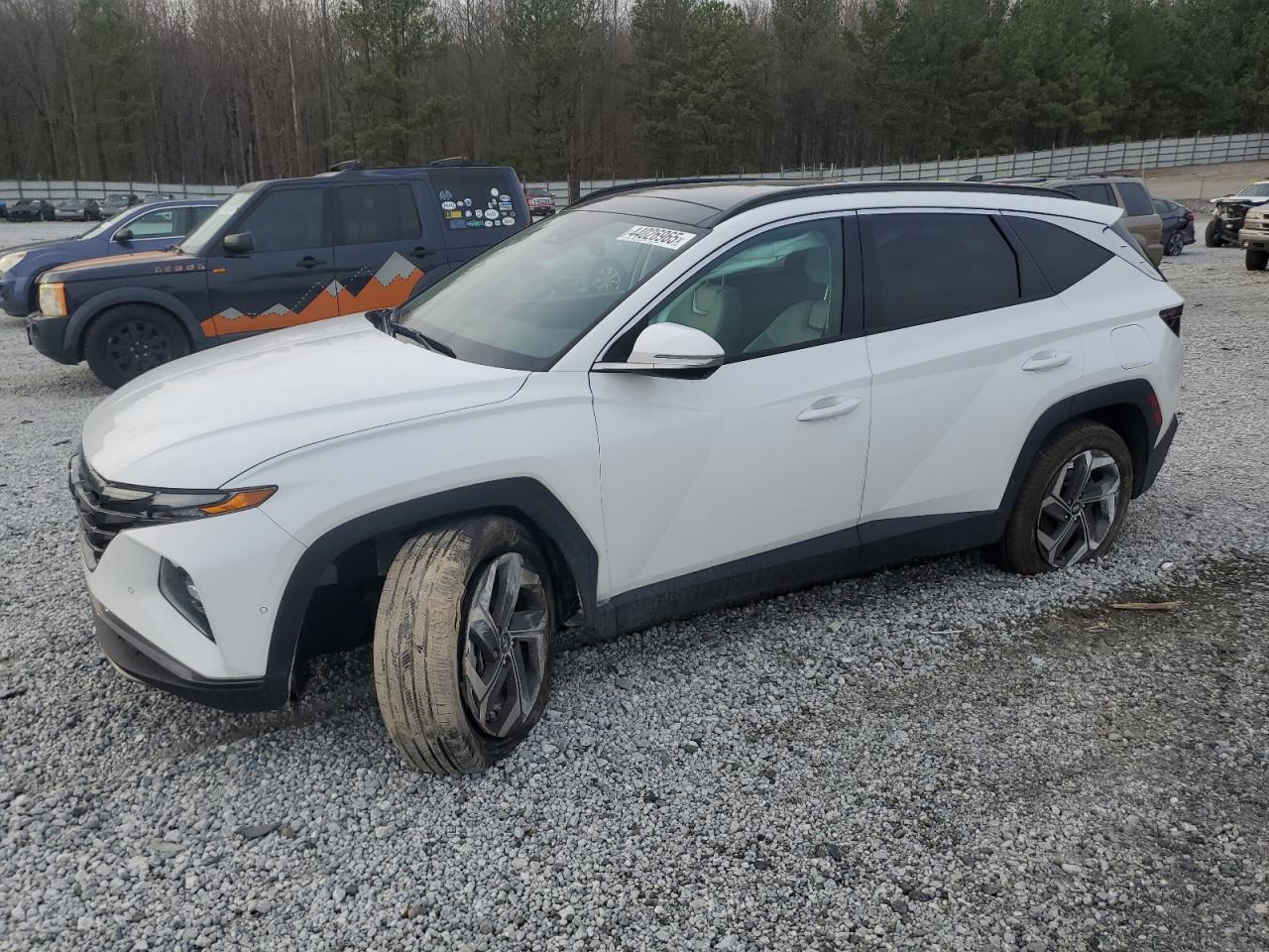 2024 Hyundai Tucson VIN 5NMJECDE1RH412096
