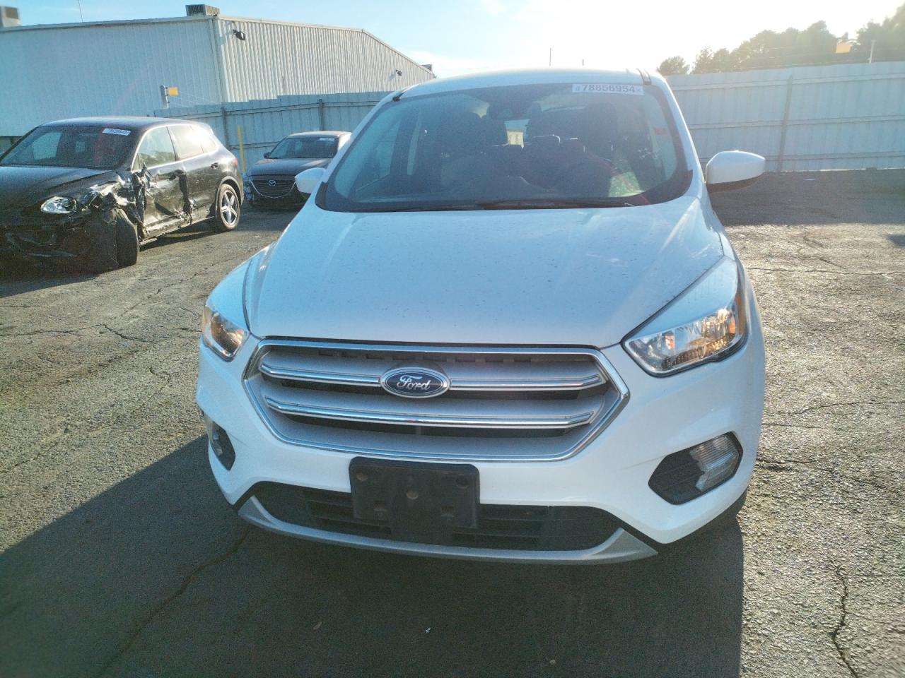 2019 Ford Escape VIN 1FMCU0GD5KUB10799 Copart auction photo, rear end damage thumbnail 5