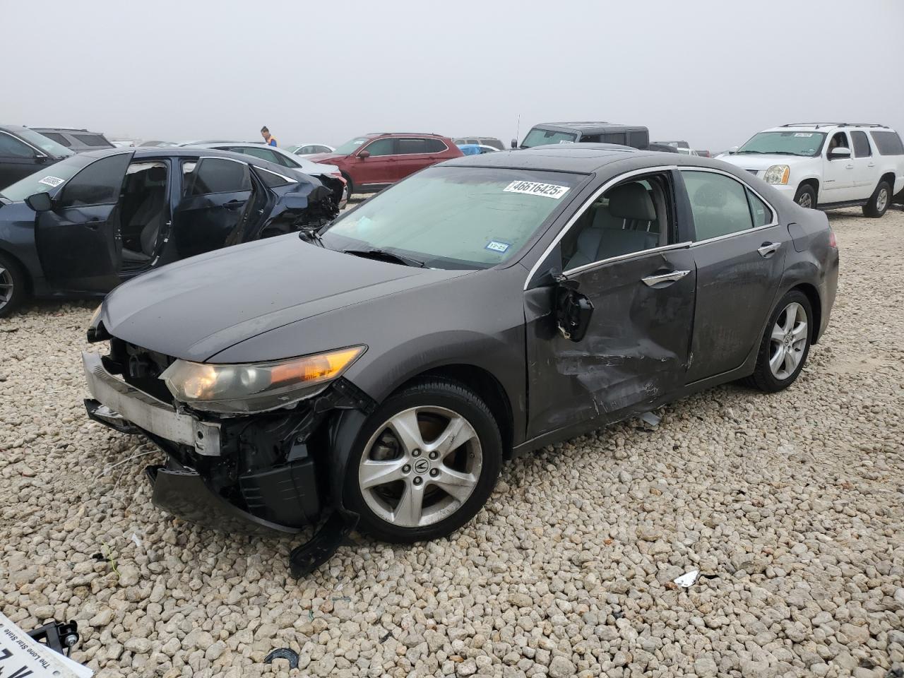 2009 Acura TSX VIN JH4CU26699C020461