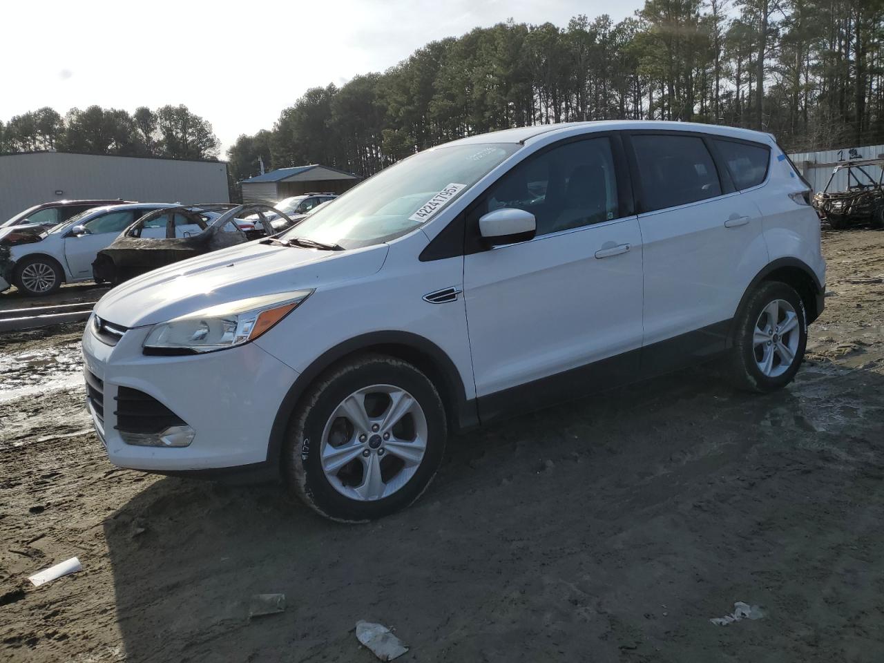 2014 Ford Escape VIN 1FMCU0G95EUC56166