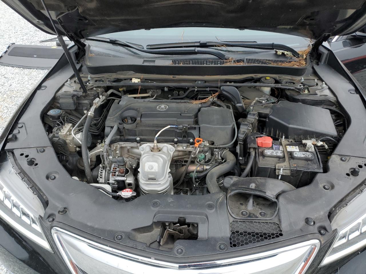 2016 Acura TLX VIN 19UUB1F55GA012607 Copart auction photo, rear end / side damage thumbnail 11