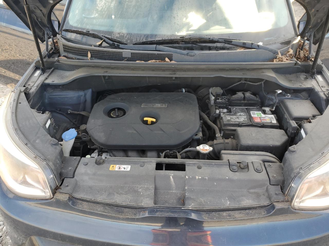 2016 KIA Soul VIN KNDJP3A52G7242348 Copart auction photo, normal wear damage thumbnail 12
