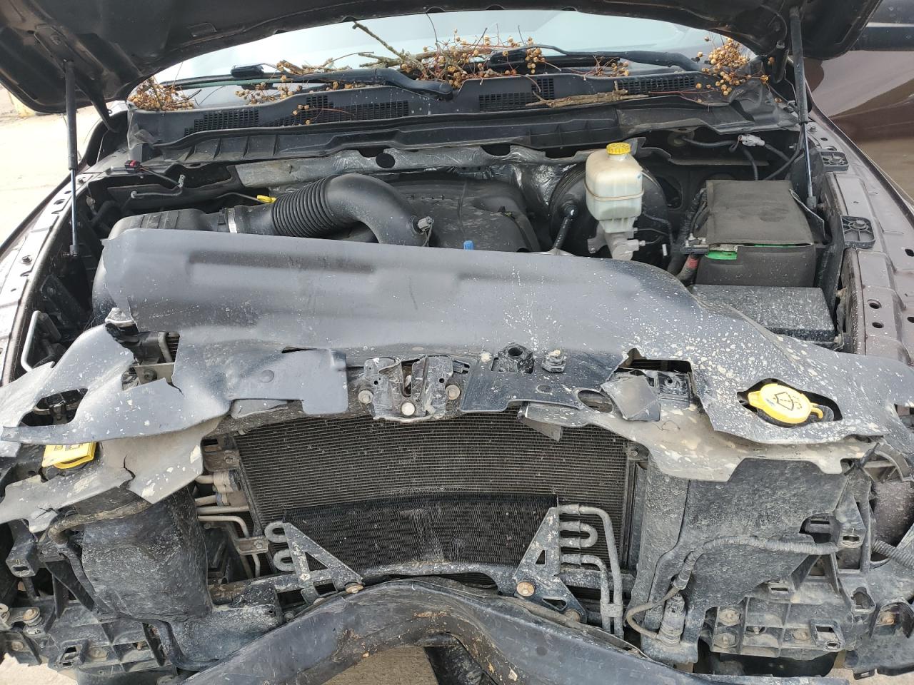 2014 RAM 2500 VIN 3C6TR5CT3EG184785 Copart auction photo, front end damage thumbnail 12
