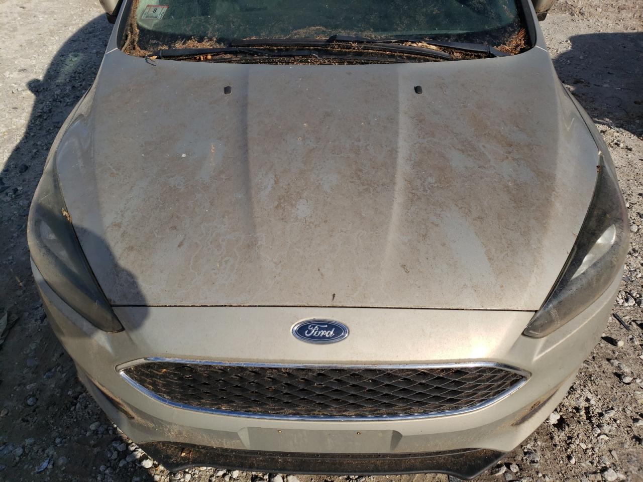 2015 Ford Focus VIN 1FADP3F21FL338060 Copart auction photo, biohazard/chemical / side damage thumbnail 11