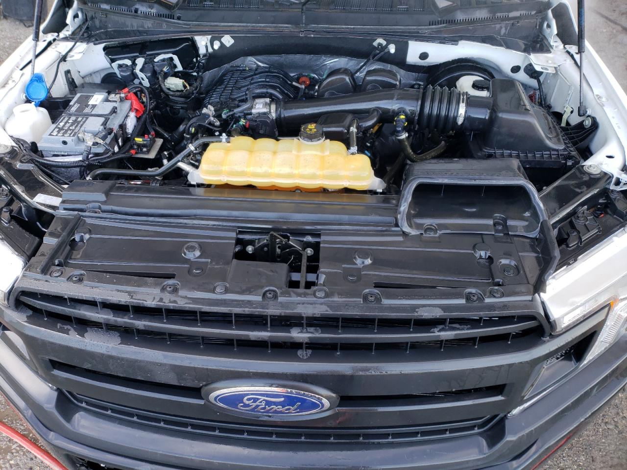 2019 Ford F-150 VIN 1FTMF1CBXKKC92136 Copart auction photo, rear end / minor dent/scratches damage thumbnail 11