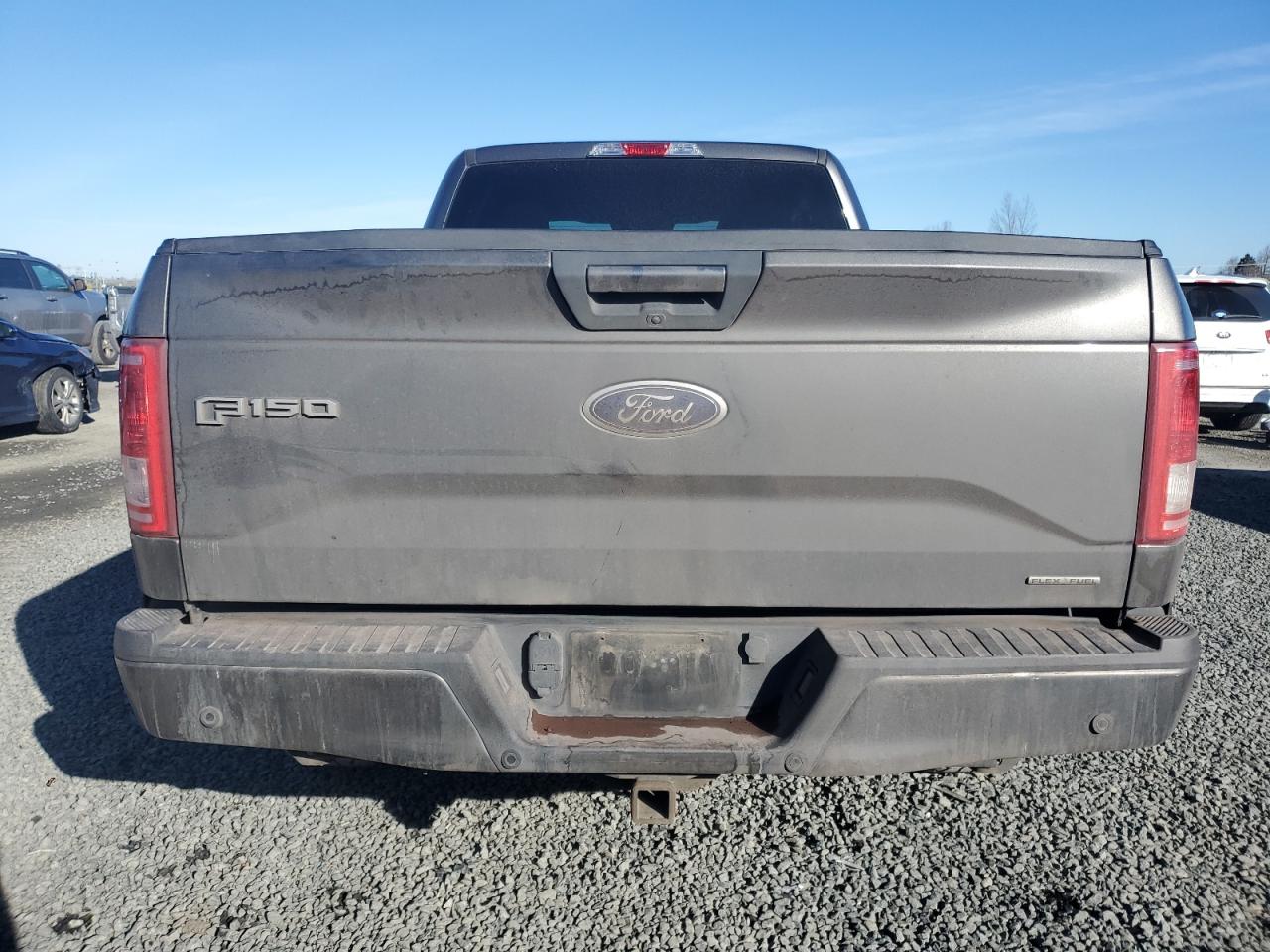 2016 Ford F-150 VIN 1FTFW1EF3GKF72660 Copart auction photo, side damage thumbnail 6