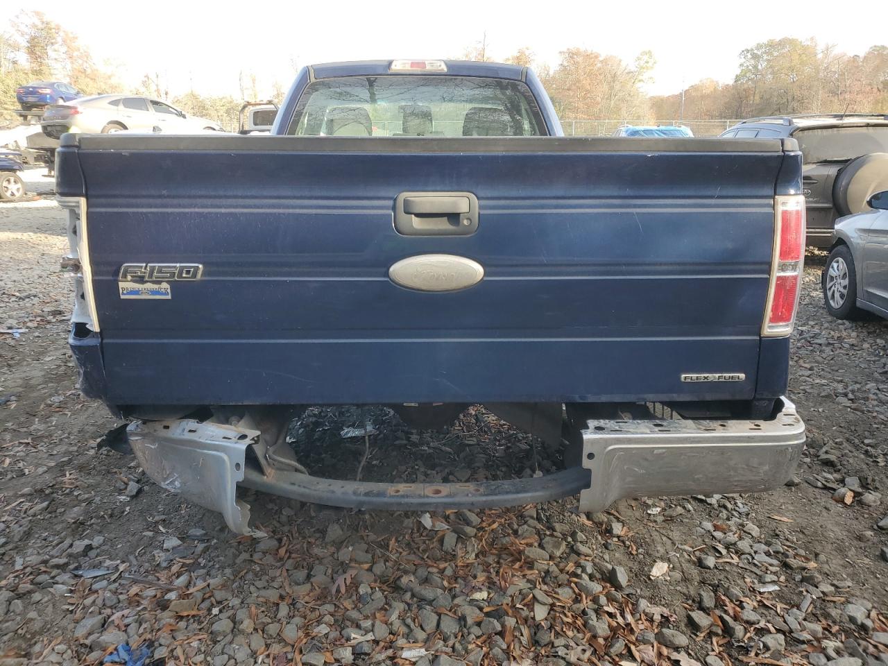 2011 Ford F-150 VIN 1FTMF1CM8BKD33252 Copart auction photo, minor dent/scratches damage thumbnail 6