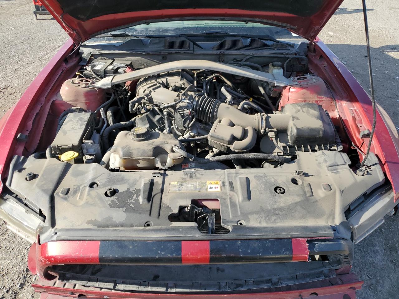 2013 Ford Mustang VIN 1ZVBP8EM0D5214040 Copart auction photo, front end / rear end damage thumbnail 12