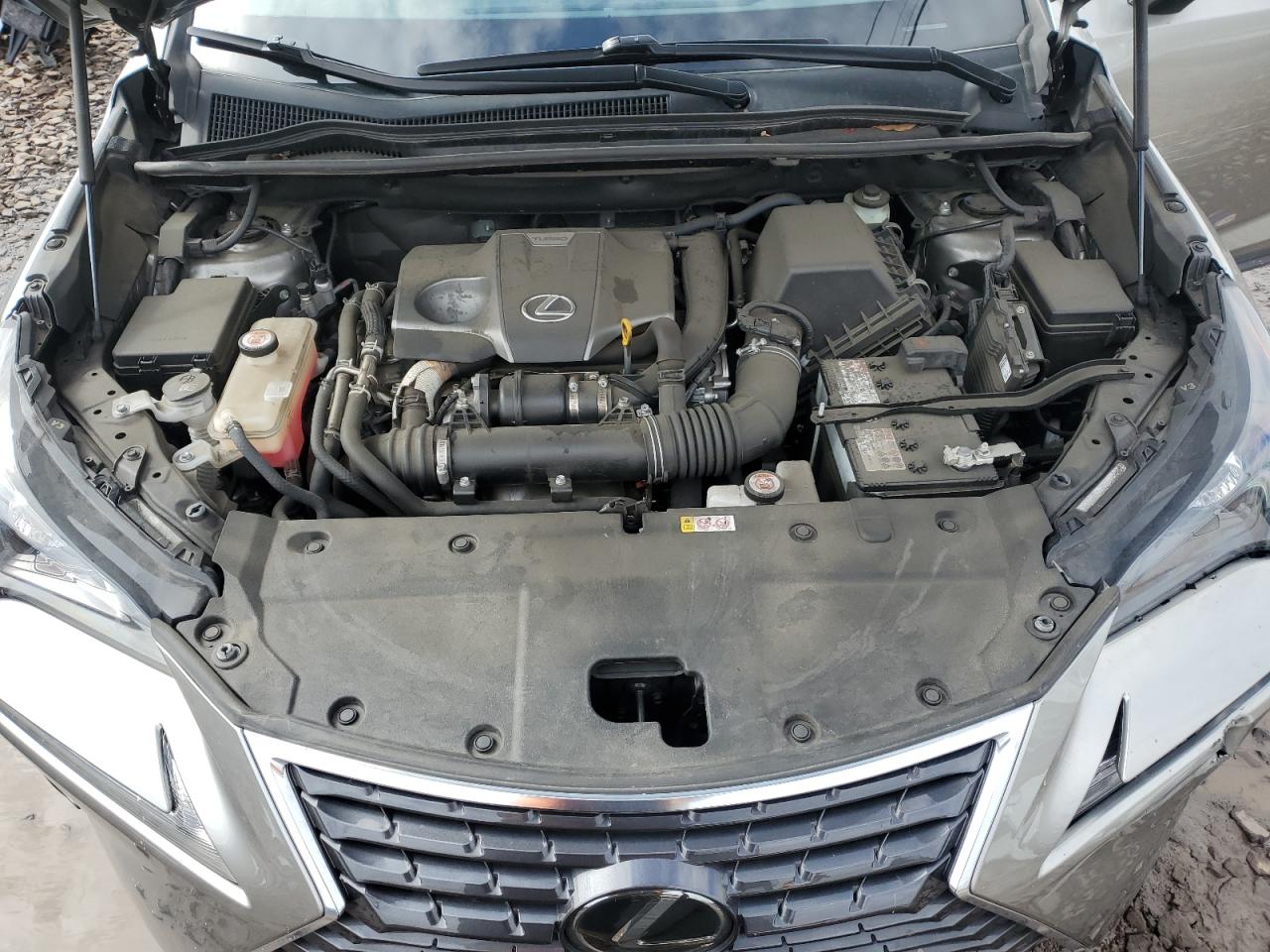 2021 Lexus NX VIN JTJDARDZ2M2259155 Copart auction photo, front end / rear end damage thumbnail 13