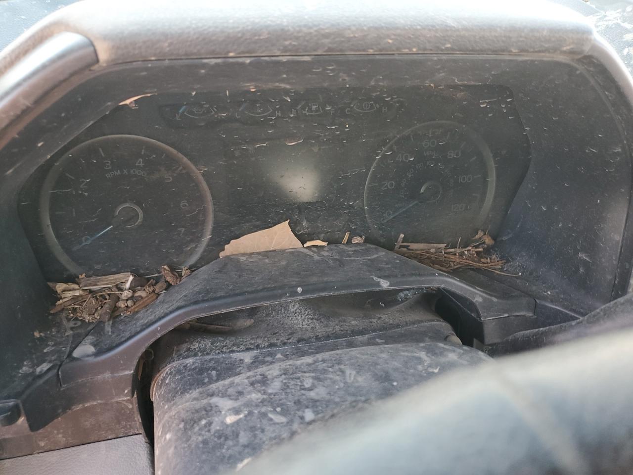 2015 Ford F-150 VIN 1FTEW1CP0FKD42760 Copart auction photo, water/flood damage thumbnail 9