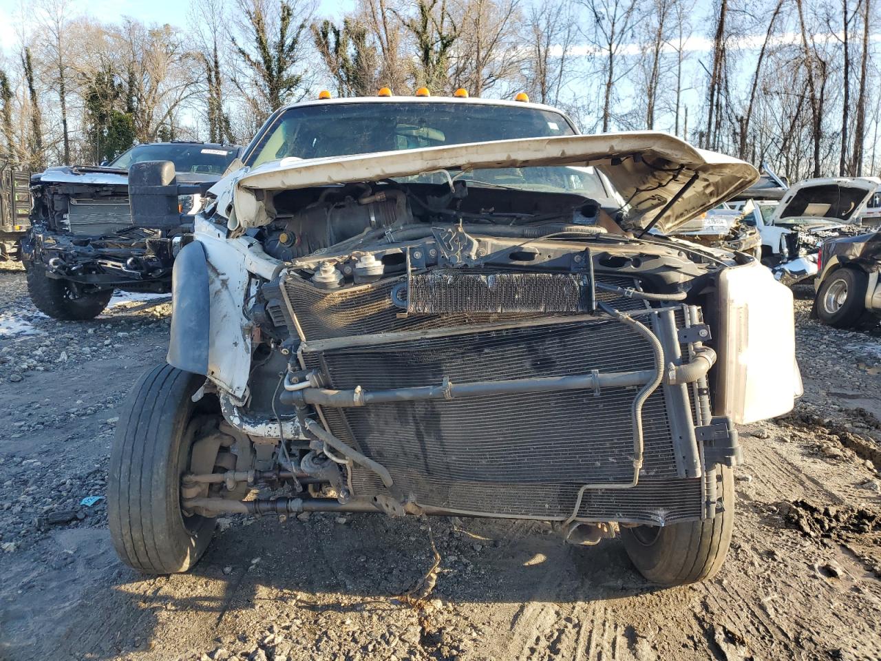 2016 Ford F450 VIN 1FD0W4HT9GEB72833 Copart auction photo, all over damage thumbnail 5